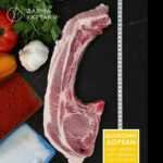 ΓΙΓΑΣ ΜΠΡΙΖΟΛΑ ΧΟΙΡΙΝΗ