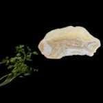 ΚΟΙΛΙΑ ΜΟΣΧΟΥ