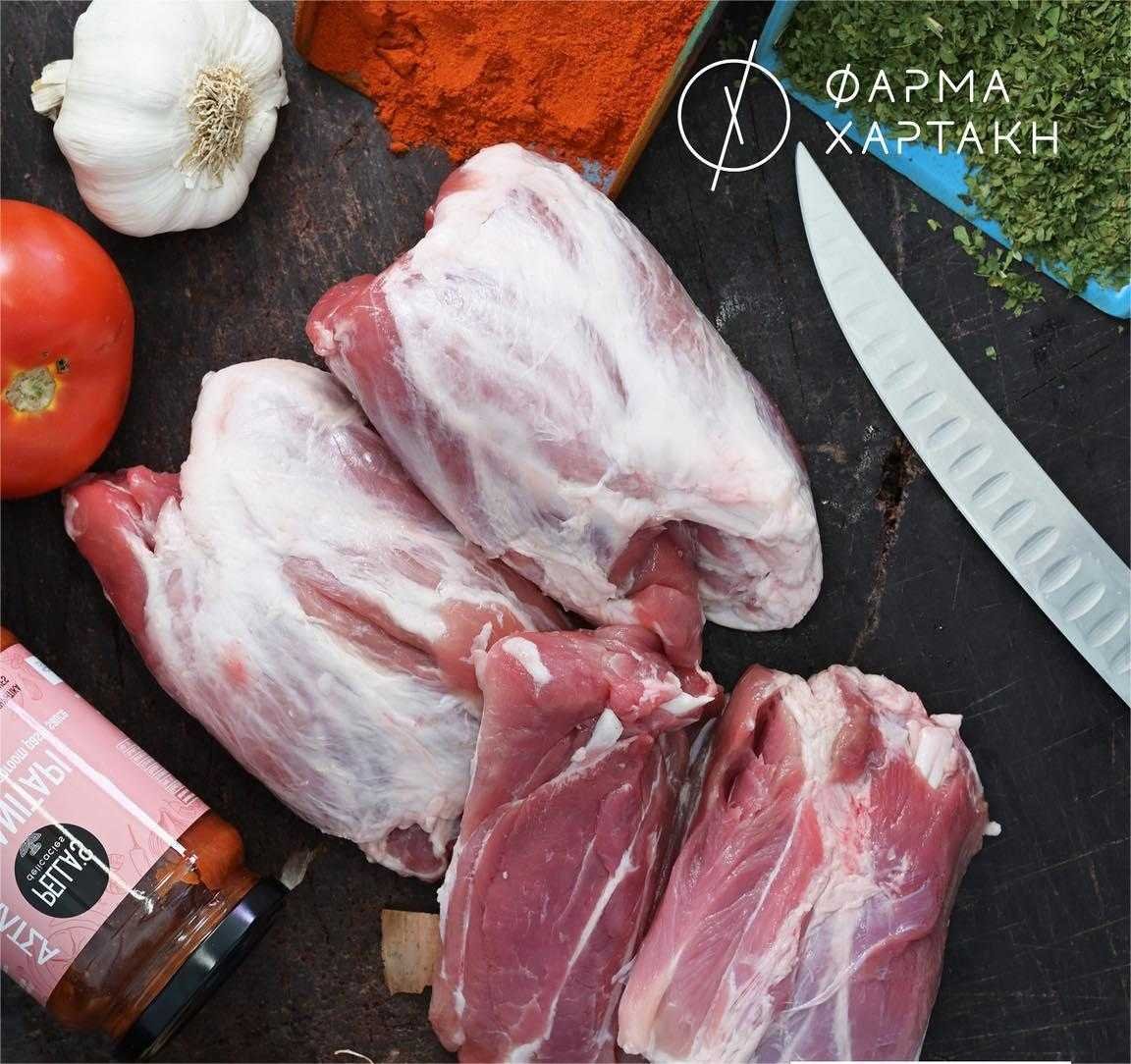 ΠΟΝΤΙΚΙ ΧΟΙΡΙΝΟ