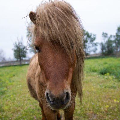 ΕΞΩΤΕΡΙΚΟΙ ΧΩΡΟΙ - VRD_5239