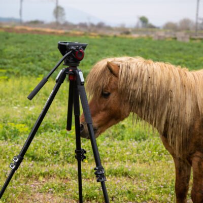 ΕΞΩΤΕΡΙΚΟΙ ΧΩΡΟΙ - VRD_5248