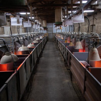 ΕΣΩΤΕΡΙΚΟΙ ΧΩΡΟΙ - VRD_5258