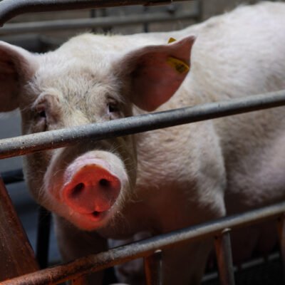 ΕΣΩΤΕΡΙΚΟΙ ΧΩΡΟΙ - VRD_5259