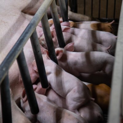 ΕΣΩΤΕΡΙΚΟΙ ΧΩΡΟΙ - VRD_5267