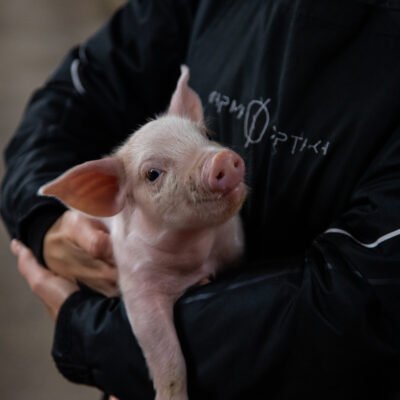 ΕΣΩΤΕΡΙΚΟΙ ΧΩΡΟΙ - VRD_5285